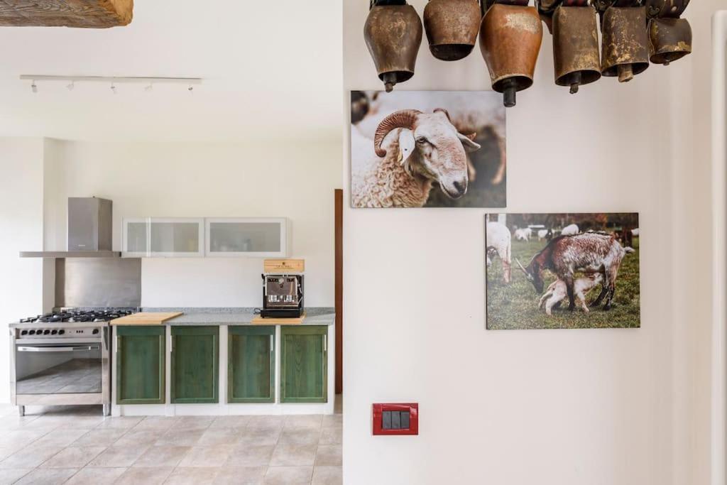 Agriturismo La Margherita San Giorgio Scarampi ภายนอก รูปภาพ